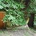 Rané, genutzte Felsenkeller