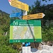 Neu gibt es einen blau-weissen-Weg (Alpinwanderweg via Guberengrätli) zum Buochserhorn