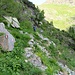 Sentiero tra il Passo Verrobio ed il sentiero basso che porta ai laghi di Ponteranica