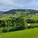 Saftig-grüne Landschaft über Gaißau