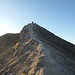 Abstieg über den ungewöhnlichen Belag - Vulkanasche