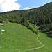 Bei der Fraßenhütte gehts links die direkte Variante zum Gipfel.