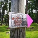 Tag 6: Zipf/Zapf-Wegweiser der Schatzsuche Talai, ansonsten leiten Farbmarkierungen in Pink durch die Gegend.