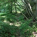 Mühlgraben