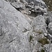 Grataufschwung Felsverschneidung Stelle III von oben