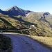Abstieg von der Bachegg - im oberen Teil bis zur Alp noch auf breiten, fahrbaren Wegen