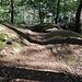 Bor, Felsbuckel