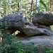 Bor, Felsen Želva (Schildkröte)