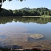 Rokytnický rybník