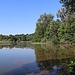 Rokytnický rybník