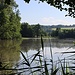 Rokytnický rybník