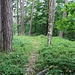 Hrad Nebákov, Turm-/Hauptgebäudefundament