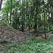 Hrad Nebákov, Halsgraben