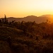 Sonnenuntergang