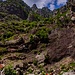 Mitten im Canyon!