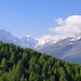 Im Hintergrund der schöne und mächtige Mont Collon