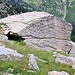 <b>Gli gneiss granitici del Monte Zucchero.</b>