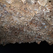 Tropfsteine in der Höhle des Chlifläschli