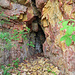 Eine kleine Höhlenartige Felsformation direkt unterhalb vom Gipfel der Thürnerflue.
