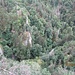 Tiefblcik nahe des Schwedenfelsens in den Canyon der Schlücht