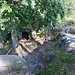 Hrad Kavčiny, Hauptgebäudegrundfläche