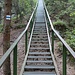 Wanderpfad
