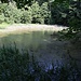 Waldteich