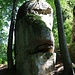 Felsengesicht mit Krummnase von vorn