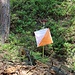 Kontrollpunkt eines Orientierungslaufes