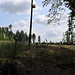 Rovná Radeč, Tafelberg, Gipfelplateau