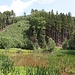 Waldteich