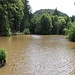 Waldteich Nr. 2