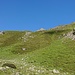 Hier auf 2140 m ü. M. verliess ich den Wanderweg und stieg weglos die steile Grasflanke hoch in Richtung Piz Mulix (T3).