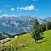 Ausblick beim Ochsensäss zur Alvierkette, links die Melser Alp Ebenwald