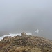 Eigentlich wollte ich über den Grat zum Nornspitz, aber es ist zu nebelig und nass!<br />So steige ich erst einmal ab.<br />