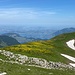 Nun ist der Vierwaldstätter See zu sehen.<br /><br /><br />