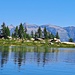 Lärchen am Lago Starlarèsc.