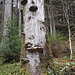 Ein abgestorbener Baum beim Aufstieg zur Holzeralm.