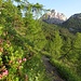 Alpenrosen säumen den Steig; der Blick schweift hinüber zum Beginn des Val Cavai, darüber das Massiv des Fibbion.