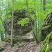 Ein paar Felsen gibt es oberhalb von Würgau