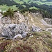 ... mit Rückblick