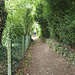 Wald-Tunnel
