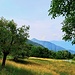 Weideflächen in Monti di Sant' Abbondio.