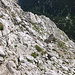 Im Abstieg vom Hochtor (Josefinensteig) - Mal mit, mal ohne Sicherung geht's nun wieder abwärts in Richtung Hesshütte.