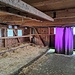 Der rätselhafte violette Vorhang im Stall. Was verbirgt sich wohl dahinter?
