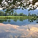 Spiegelungen