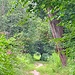Wegpassage