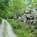Rechts des Weges türmt sich eine Steinhalde auf, links liegt des Bachbett und steile Felswände.