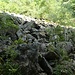 Die Steinhalde eines früheren Felssturzes reicht bis an den Wanderweg,daneben liegt das Bachbett und gegenüber türmt sich eine steile Felswand auf.