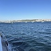 und dann machten wir noch eine kleine Rundfahrt am Bosporus